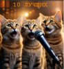 Шапк 10.jpg