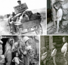thumb-article-390x372-9fbd.png